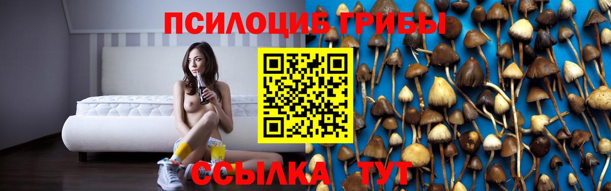 Унеча  Псилоцибиновые грибы прущие грибы  Вход с VPN 